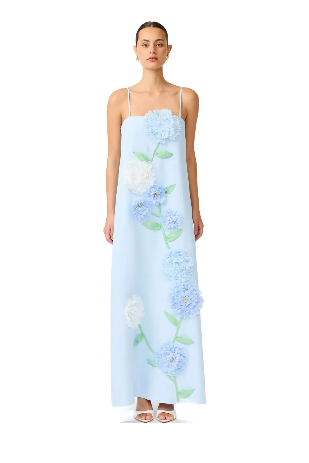 Elliatt Buttercup Embroidered Maxi Dress Blue Size M for rent on The Volte - main image