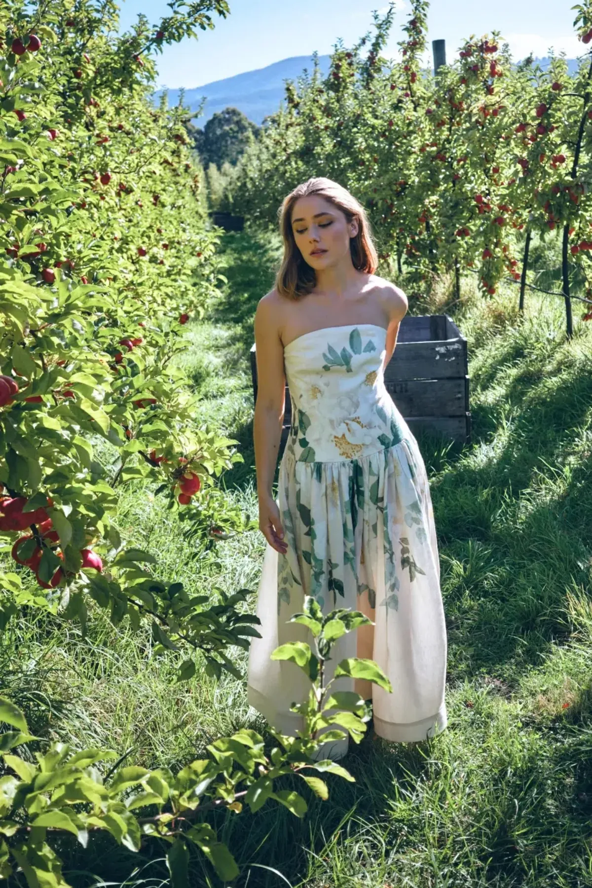 She is Tenacious linen midi dress By Victoria Bliss Size 8 for rent on The Volte - main image