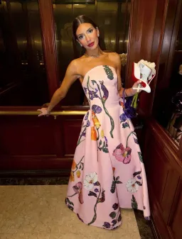 Leo Lin Violet Bustier Maxi Dress Gown Size 12 for rent on The Volte - image 1