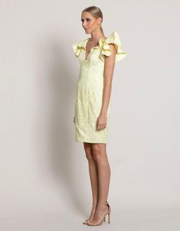 Bariano Tallulah Frill Mini Dress Yellow Size 10 for rent on The Volte - image 2