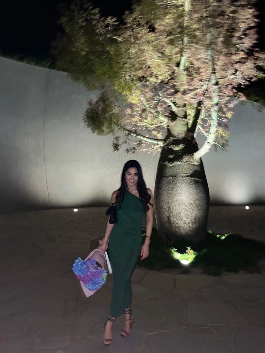 NORMA KAMALI Diana Gown in Forest Green for rent on The Volte - main image