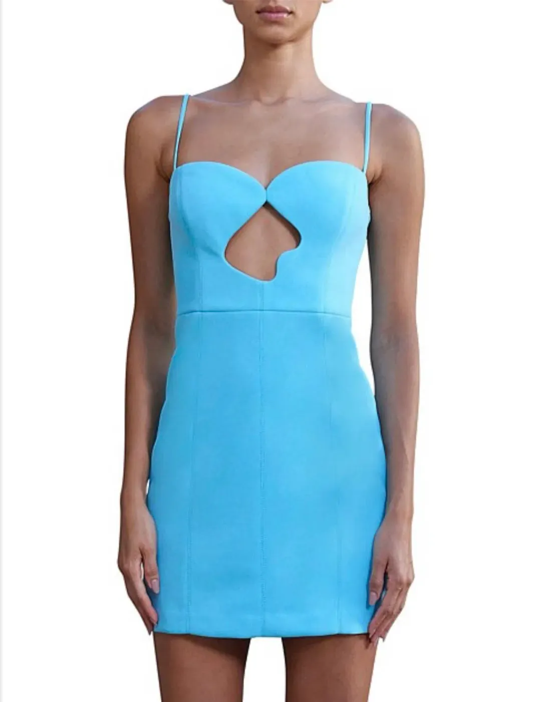 Misha Brixton dress for rent on The Volte - main image