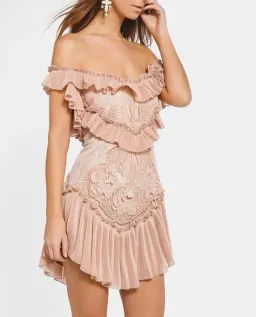 Alice McCall Lovebirds Dress Nude Size 12 for rent on The Volte - image 4