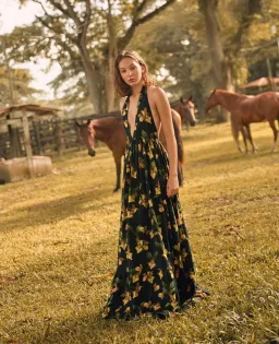 Agua by Agua Bendita Olivia Jardin Linen Maxi Dress Print Size XS for rent on The Volte - image 1