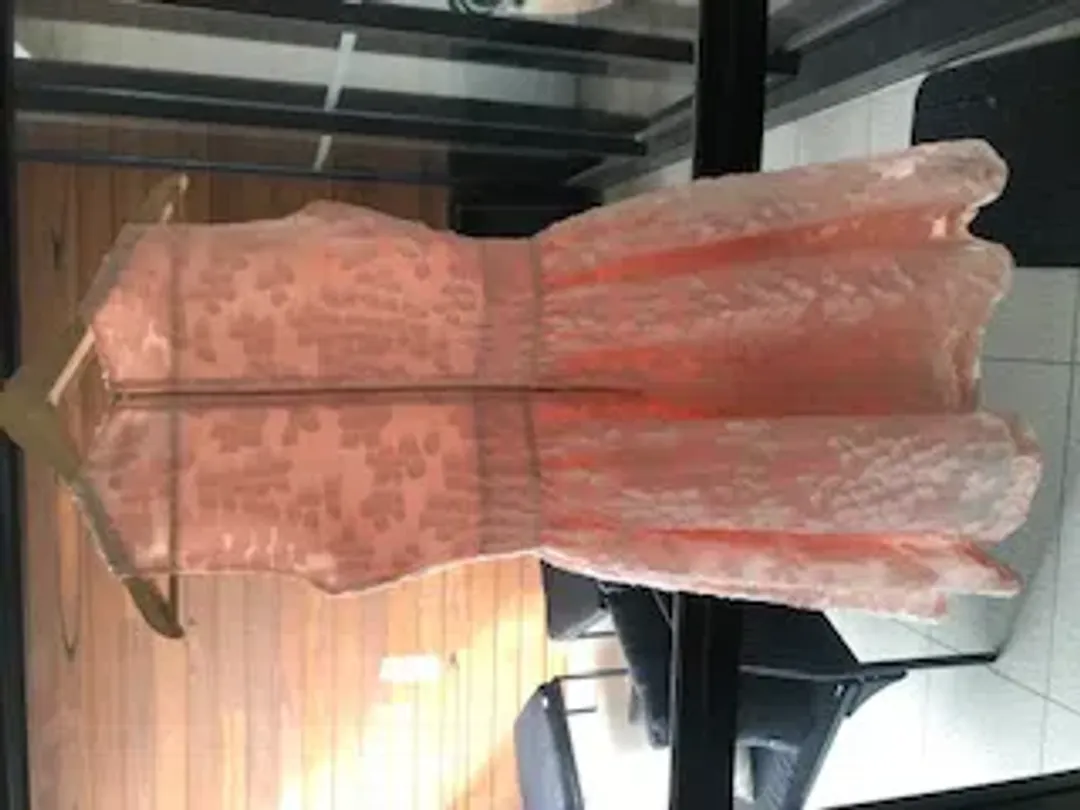 Maje Fit and Flare Cocktail Dress Pink Size 8 for rent on The Volte - main image