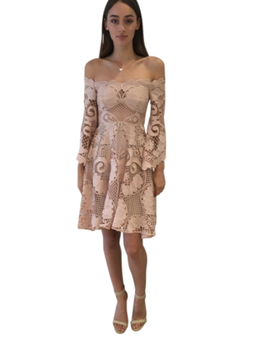 Thurley Nude Babylon Lace Dress size 10 for rent on The Volte - image 1
