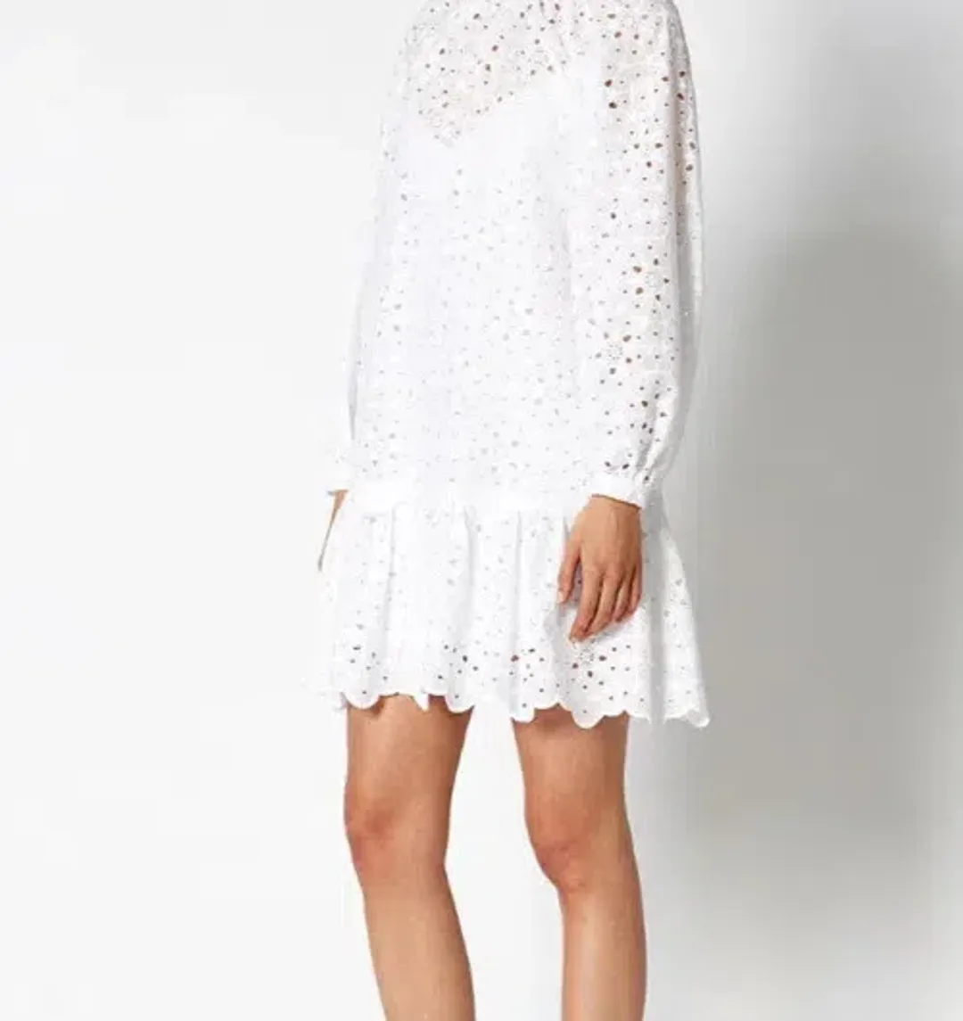 Scanlan Theodore Embroidered Cotton Mini Dress White Size 8 for rent on The Volte - main image