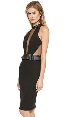 Shakuhachi Sheer Panel Dress Size 10 for rent on The Volte - image 2