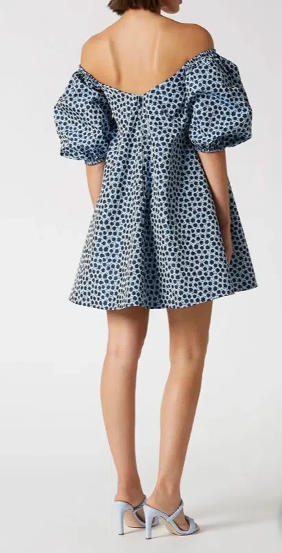 Scanlan Theodore Floral Trapeze Mini Dress Blue Size 6 for rent on The Volte - main image