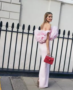 Rachel Gilbert Angelo Gown Maxi Dress in Pink Size AU 6 for rent on The Volte - image 3