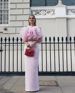 Rachel Gilbert Angelo Gown Maxi Dress in Pink Size AU 6 for rent on The Volte - image 1