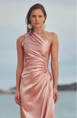 Sonya Moda Nour Blush Maxi Dress Pink Size 12 for rent on The Volte - image 4