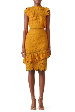 Saylor Reine Lace Sheath Midi Dress in Mustard Yellow Size XS/ Au 6 for rent on The Volte - image 1