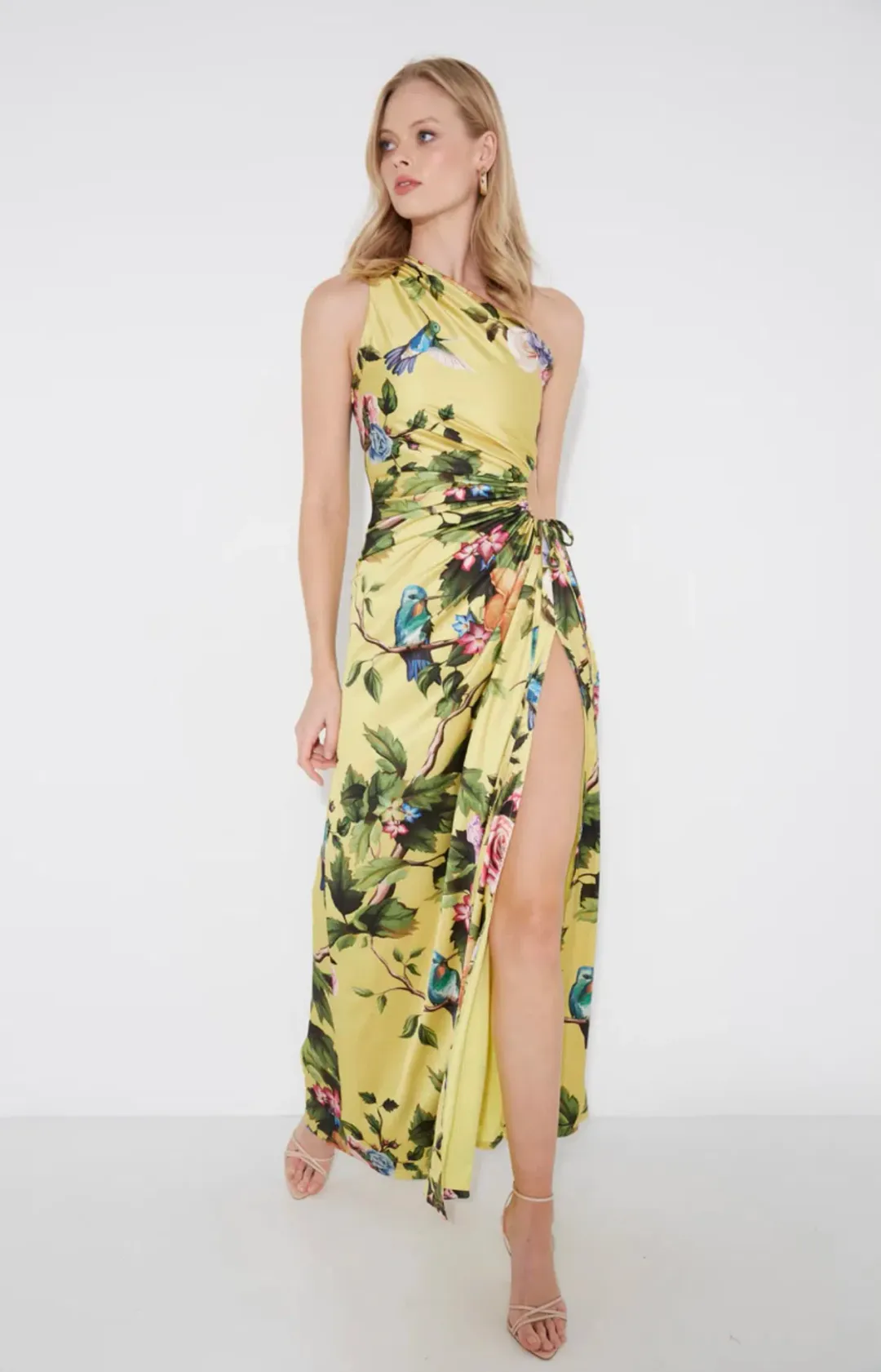 Sonya Moda Nour Royal Botanic Maxi Dress Print Size 8 for rent on The Volte - main image