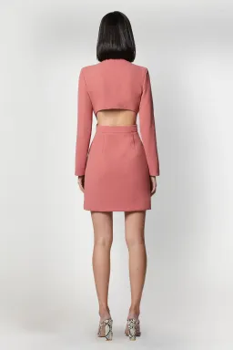 Elliatt Ametrine Dress Rose Size S/Au 8 for rent on The Volte - image 3