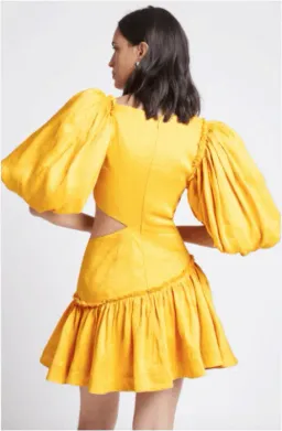 AJE - Chateau Cutout Mini Dress for rent on The Volte - image 3