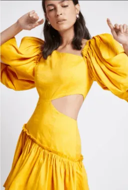 AJE - Chateau Cutout Mini Dress for rent on The Volte - image 2