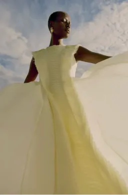 Aje Astrid Pleat Panel Midi Dress Yellow Size 8 / S for rent on The Volte - image 2