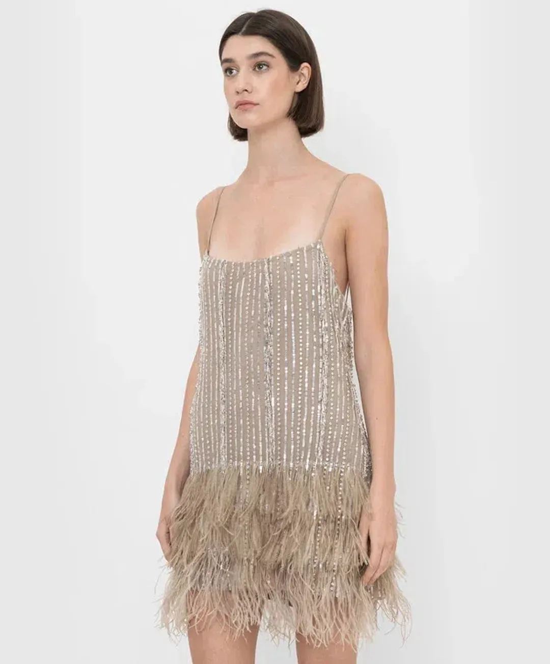 Rachel Gilbert Kenzi Mini Dress Beige Size 5 / AU 16 for rent on The Volte - main image