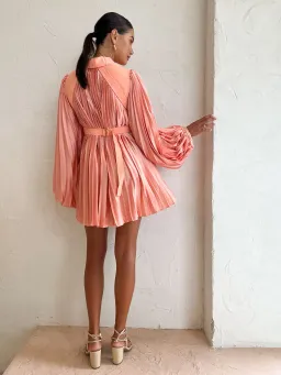 Acler George Dress in Coral Size 8 for rent on The Volte - image 5