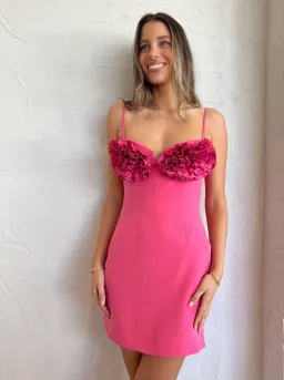 Rachel Gilbert Margot Mini Dress in Pink Size AU 12 for rent on The Volte - image 8