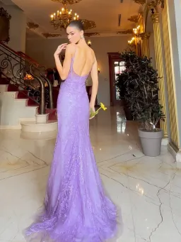 Tina Holly TE215 Lace Applique Maxi Gown Lilac Size 8 for rent on The Volte - image 3
