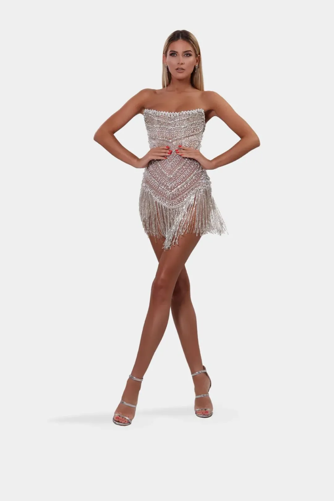 Albina Dyla Wild Corset Dress Silver/Nude Size 6 for rent on The Volte - main image