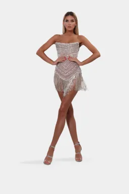 Albina Dyla Wild Corset Dress Silver/Nude Size 6 for rent on The Volte - image 1