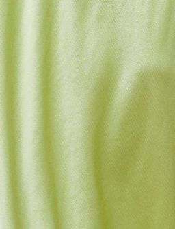 Bec & Bridge Citrus Sweetie Maxi Dress Green Size 8 for rent on The Volte - image 7