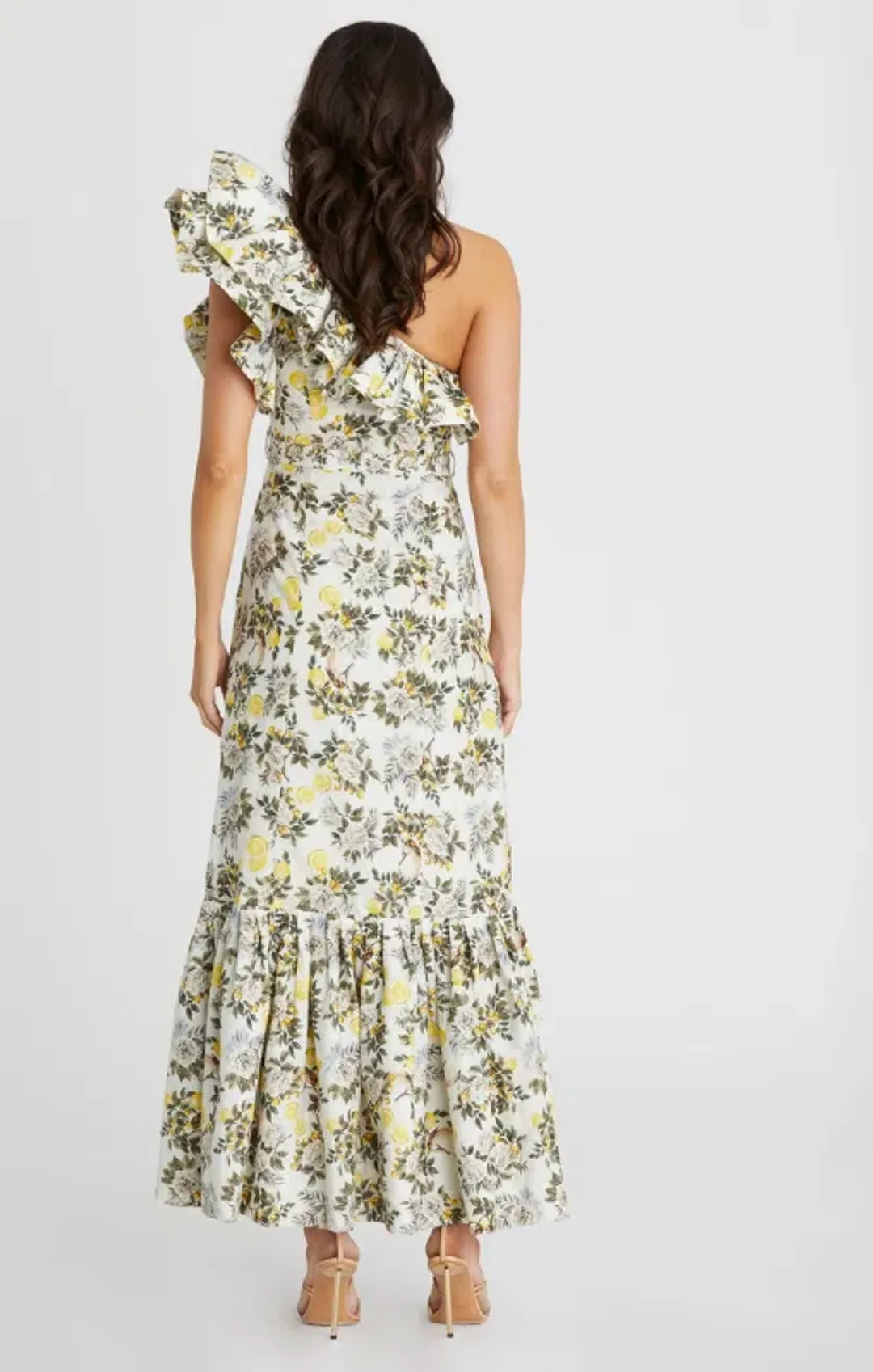 Aqua Blu Giselle Dress Clementine Print Size 10 for rent on The Volte - main image