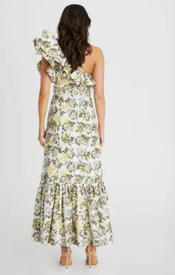 Aqua Blu Giselle Dress Clementine Print Size 10 for rent on The Volte - image 2