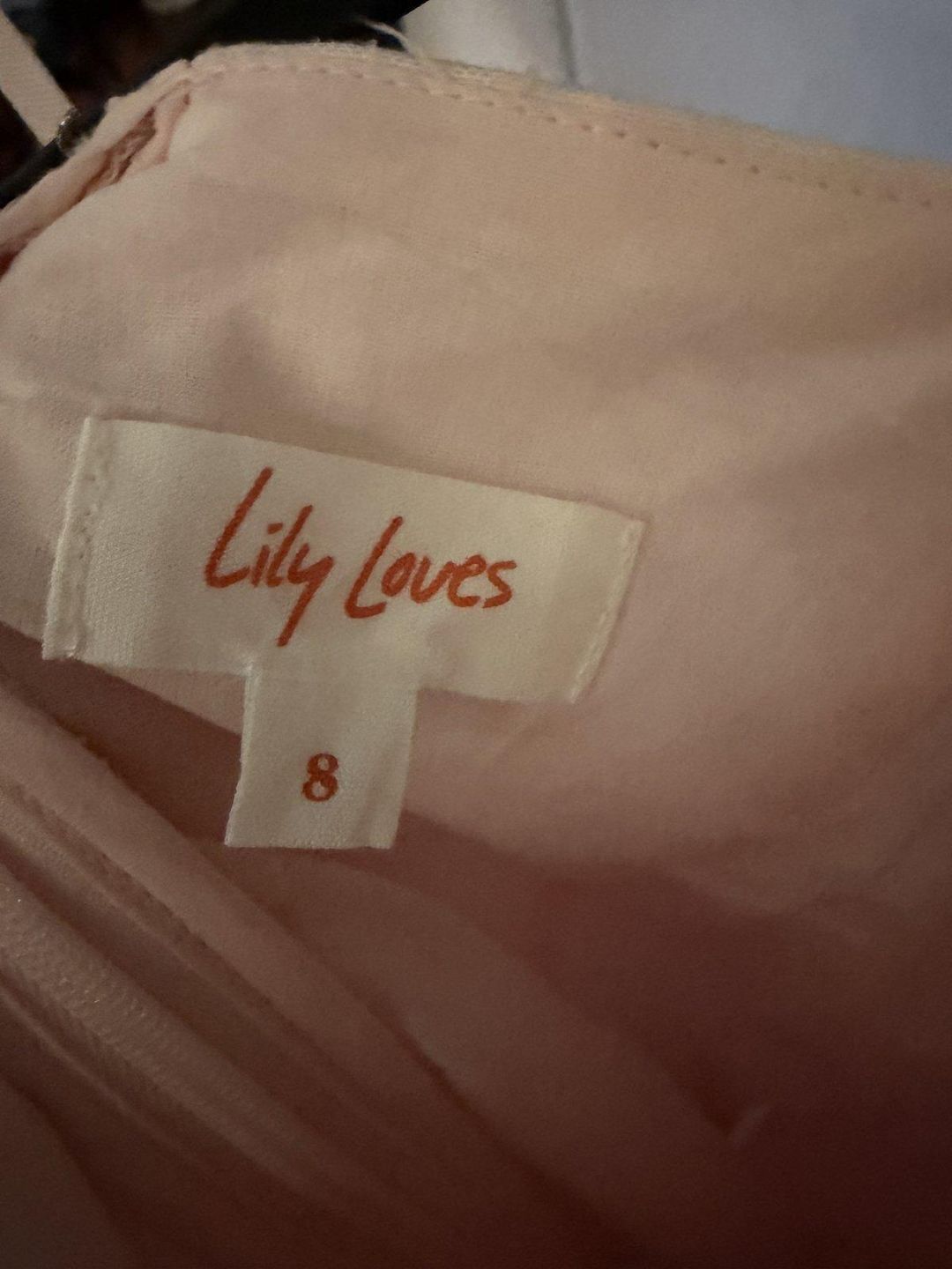Lily Loves Strappy Slip Maxi Dress Size 8 Blush for rent on The Volte - main image