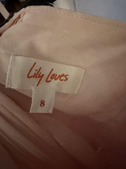 Lily Loves Strappy Slip Maxi Dress Size 8 Blush for rent on The Volte - image 2