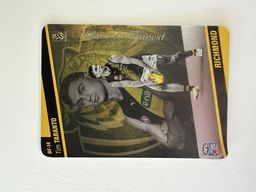 AFL TeamCoach Tim Taranto Richmond BF-14 Best & Fairest 2024 for rent on The Volte - image 1