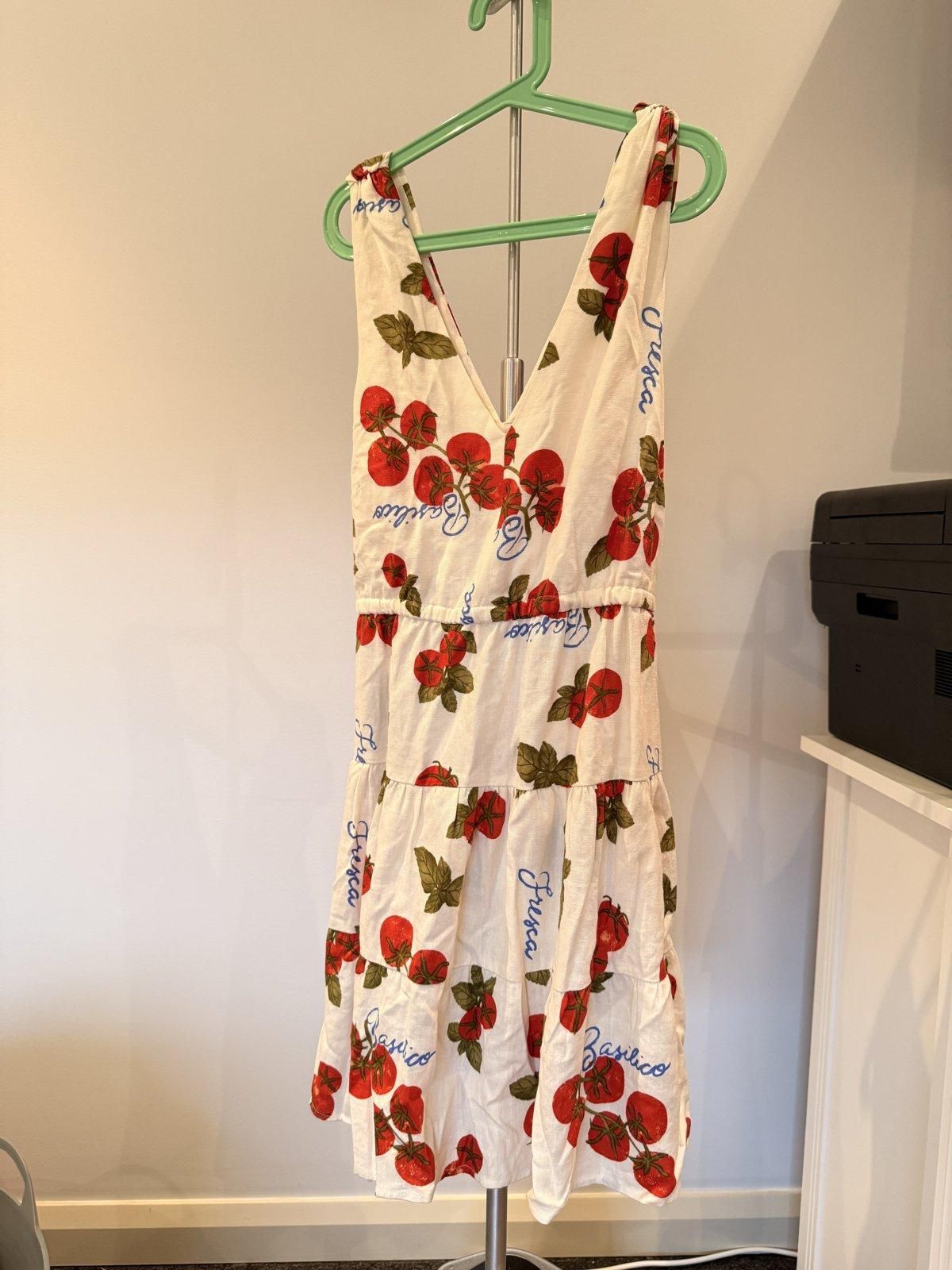 Sportsgirl Tomato & Basil Print Fit & Flare Mini Dress Size 6 - Image 1