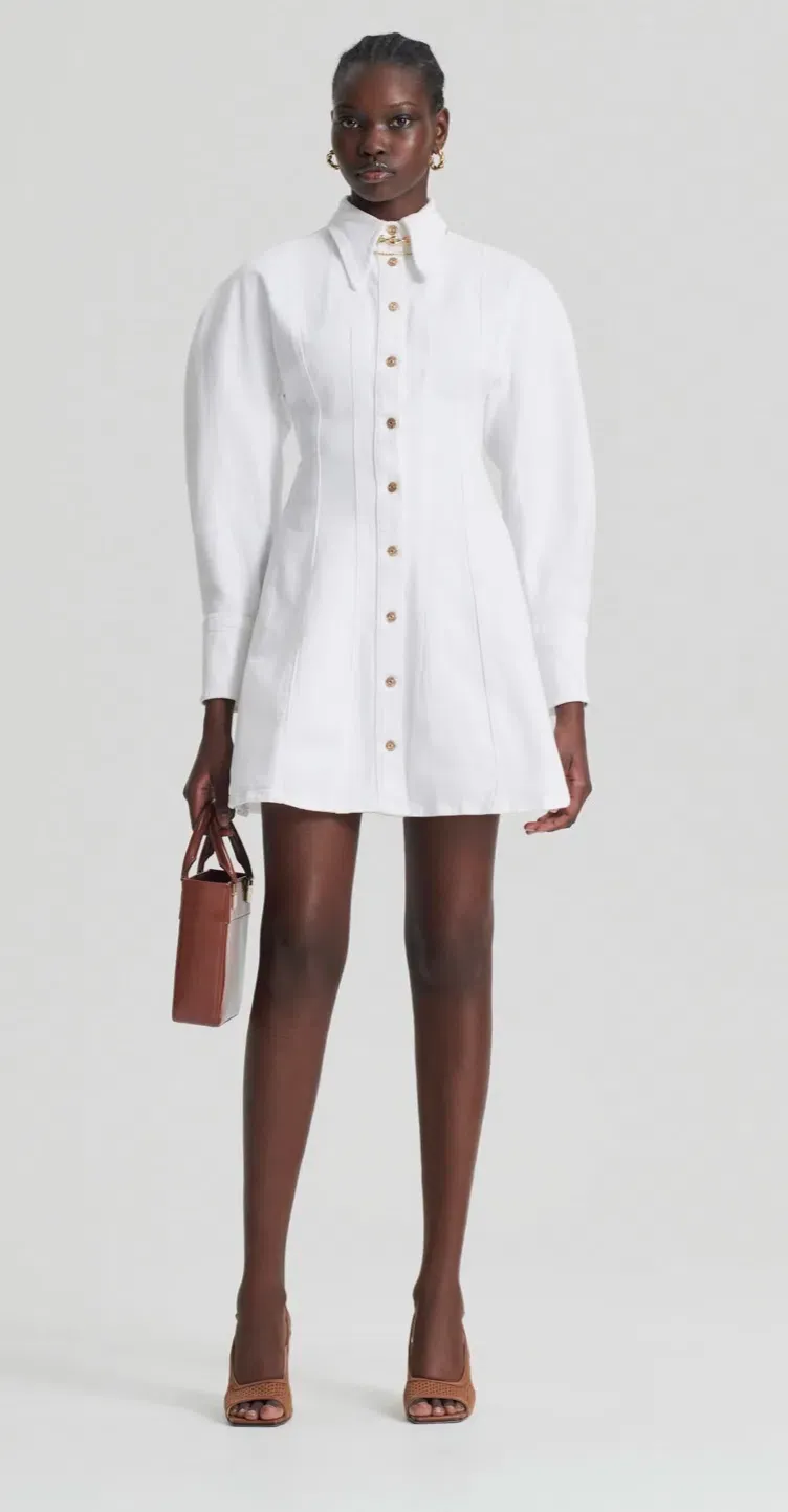 scanlan denim dress Scanlan Theodore Denim Dress Review