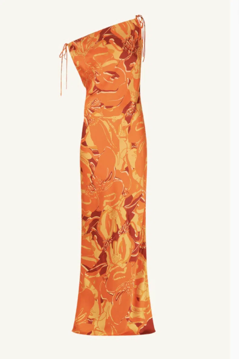 chinese dress ladies Chara Maxi Dress main image 1