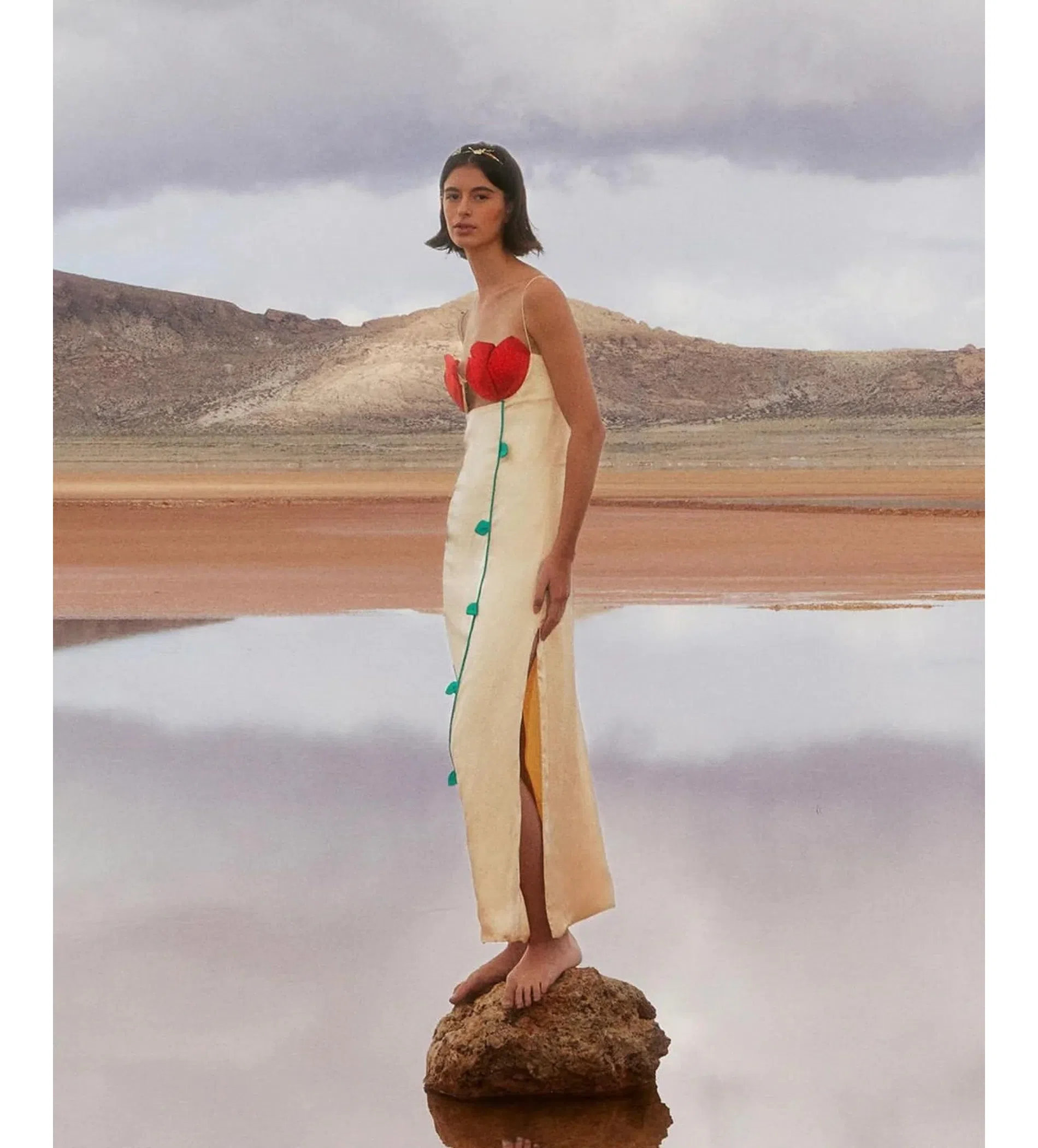 Farm Rio Beige Rose Shaped Bodice Sleeveless Maxi Dress Size AU 8 | The  Volte