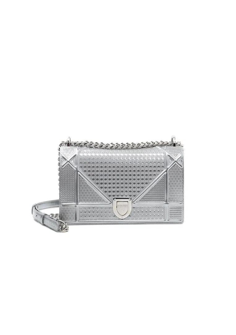 Christian Dior Diorama Bag Silver | The Volte