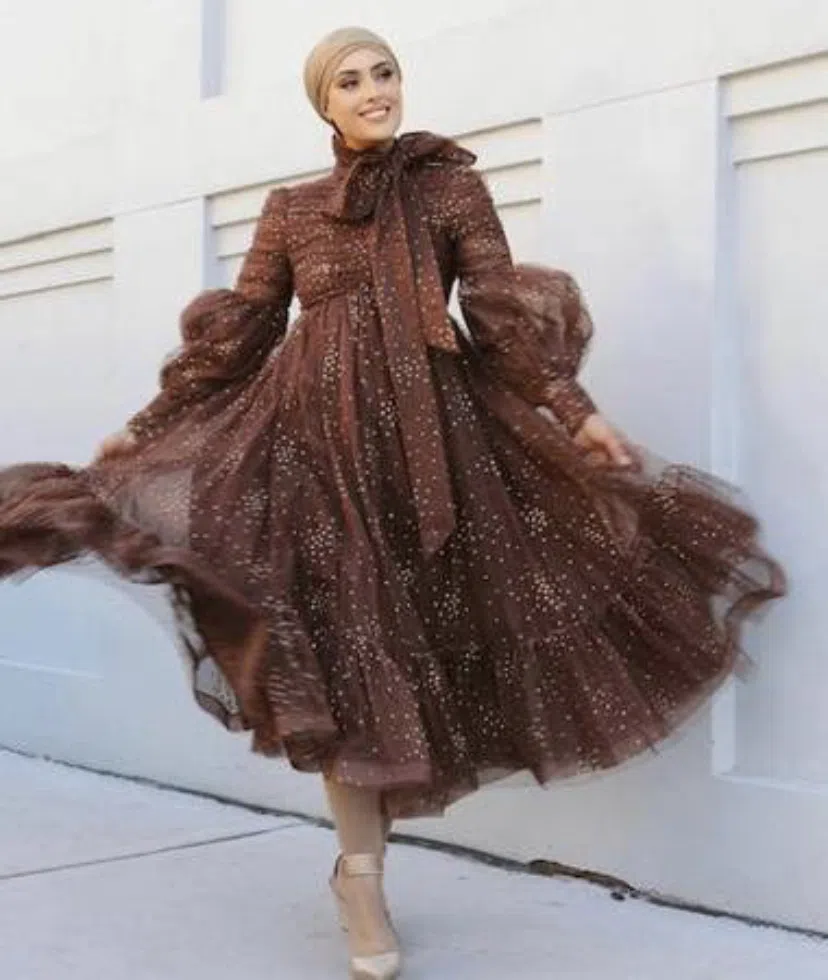 Zimmermann Tempo Ruched Glitter Tulle Gown Brown Size 2/ AU 12