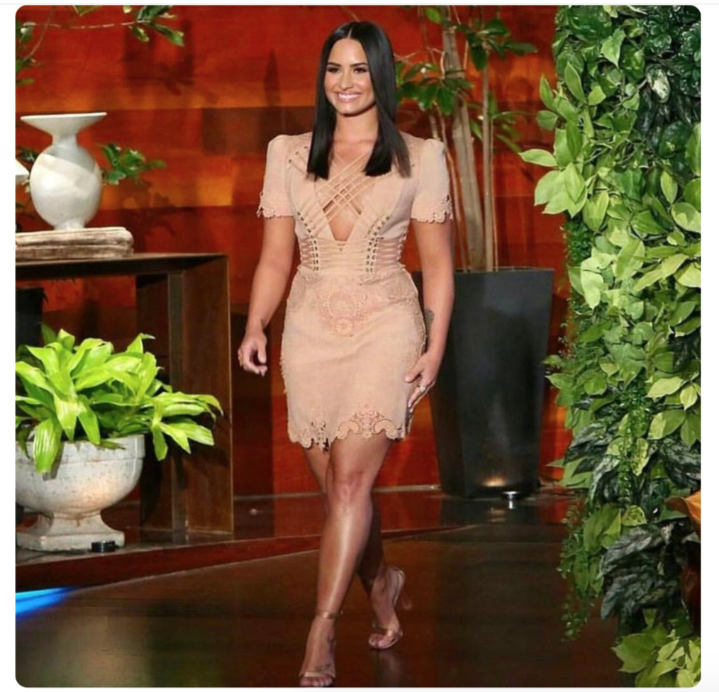 zimmermann bowerbird