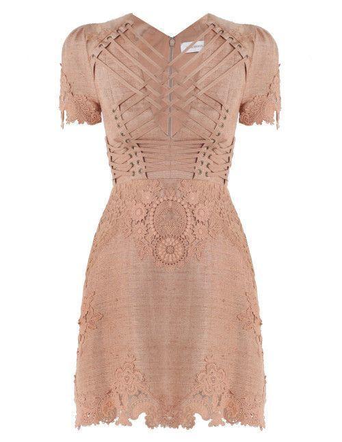 zimmermann bowerbird